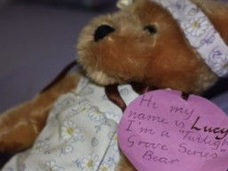 Twilight Grove Farm Bed And Breakfast  - Accommodation Daintree 1