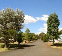 Toowoomba Motor Village - Accommodation Daintree 5