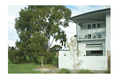 Clifton Hill VIC Accommodation Daintree