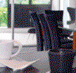 Central Parklands - Accommodation Daintree