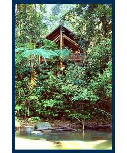 The Canopy Treehouses - Accommodation Daintree 1