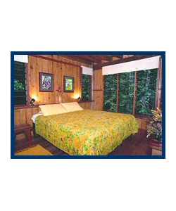 The Canopy Treehouses - Accommodation Daintree 3