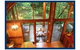 The Canopy Treehouses - thumb 4