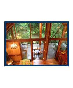 The Canopy Treehouses - Accommodation Daintree 4