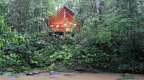 The Canopy Treehouses - Accommodation Daintree 5