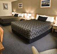 The Old Woolstore Apartment Hotel - Accommodation Daintree