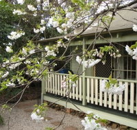 Harrow Cottages - Accommodation Daintree