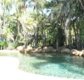 Bushland Beach Tavern - Accommodation Daintree