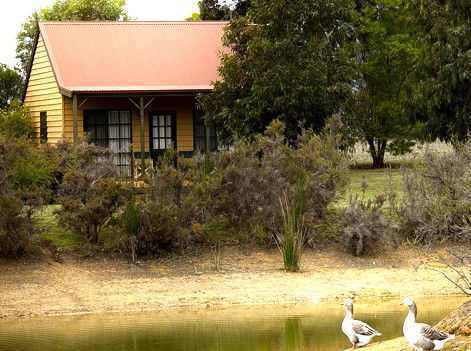 Mountain View Motor Inn And Holiday Lodges - Accommodation Daintree 2