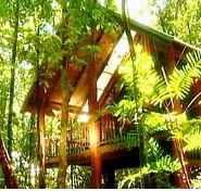 The Canopy Treehouses - Accommodation Daintree