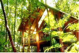 The Canopy Treehouses - Accommodation Daintree 0