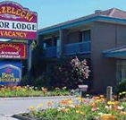 Strzelecki Motor Lodge - Accommodation Daintree
