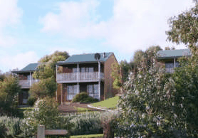 Daysy Hill Country Cottages - Accommodation Daintree 2