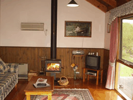 Daysy Hill Country Cottages - Accommodation Daintree 3