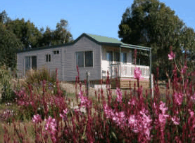 Daysy Hill Country Cottages - Accommodation Daintree 5