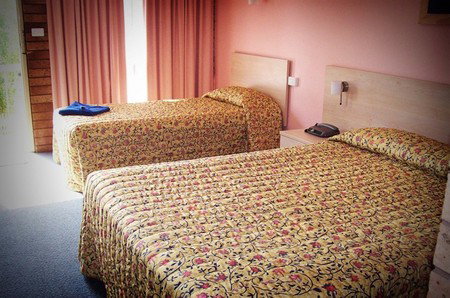 Comfort Inn Dubbo City - Accommodation Daintree 4