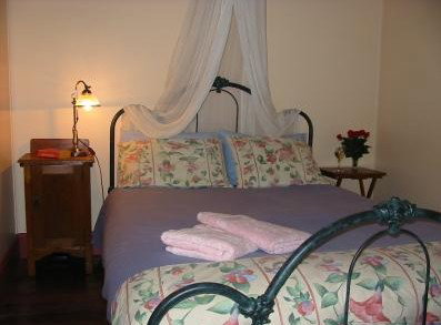 Bolwarra NSW Accommodation Daintree