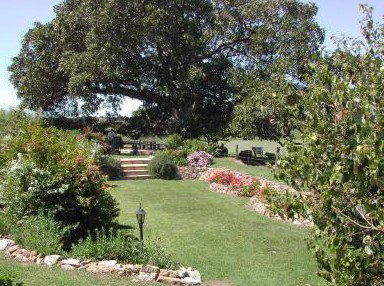 Maddies Of Bolwarra - Accommodation Daintree 1
