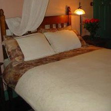 Maddies Of Bolwarra - Accommodation Daintree 3