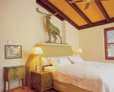 Tower Lodge - Accommodation Daintree 0
