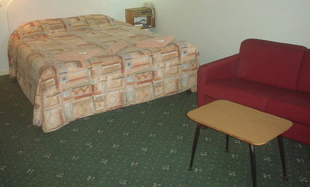 Bandicoot Motor Inn - Accommodation Daintree 1