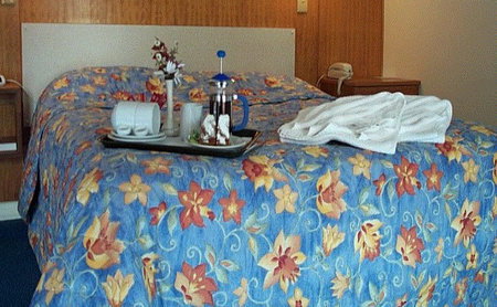 Bandicoot Motor Inn - Accommodation Daintree 2