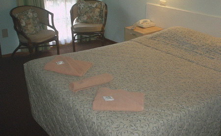 Bandicoot Motor Inn - Accommodation Daintree 4