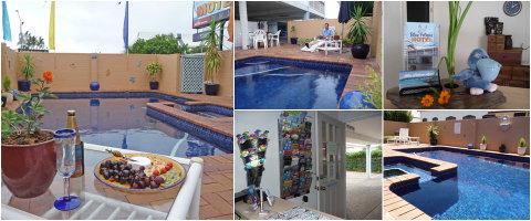 Blue Pelican Motor Inn - Accommodation Daintree 2
