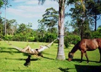 Clybucca NSW Accommodation Daintree