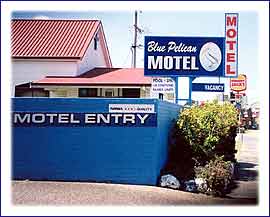 Blue Pelican Motor Inn - Accommodation Daintree 0