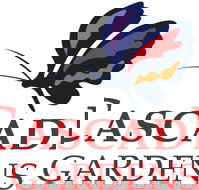 Q Resorts Cascade Gardens  - Accommodation Daintree