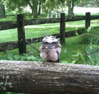 Milton Park - Accommodation Daintree