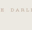 The Darling - Accommodation Daintree
