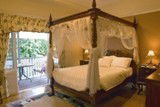 Elindale House Bed & Breakfast - Accommodation Daintree 1