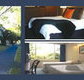 The Albany - Accommodation Daintree