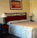 Ashfield Motor Inn - Accommodation Daintree 2