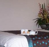 Best Western Ambassador Motor Inn - Accommodation Daintree