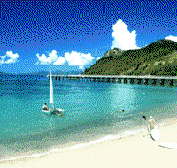 Adventure Island Whitsundays south Molle Island - Accommodation Daintree