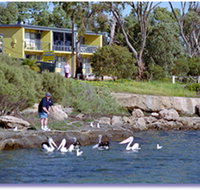 Almonta Holiday Apartments - Accommodation Daintree