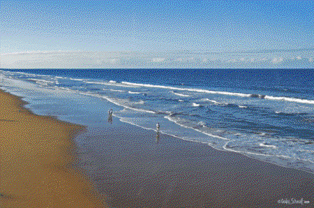 The Edge On Beaches - Accommodation Daintree 2