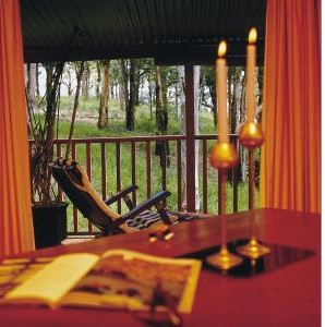 Eaglereach Wilderness Resort - Accommodation Daintree 0