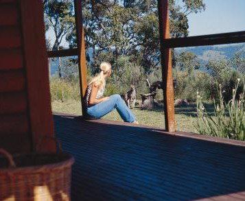 Eaglereach Wilderness Resort - Accommodation Daintree 2