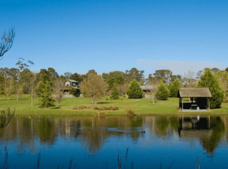 Sanctuary Park Cottages - Accommodation Daintree