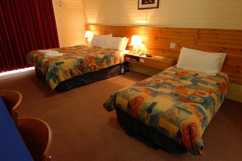Barossa Motor Lodge - Accommodation Daintree 4