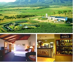 Hunter Resort - Accommodation Daintree 0