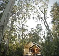 Paperbark Camp - Accommodation Daintree