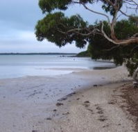 Stanley Lakeside Spa Cabins - Accommodation Daintree