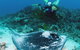 Heron Island Resort - thumb 0