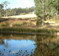 Kiah Nunyara Accommodation - Accommodation Daintree