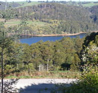 Charlyn Lodge - Accommodation Daintree